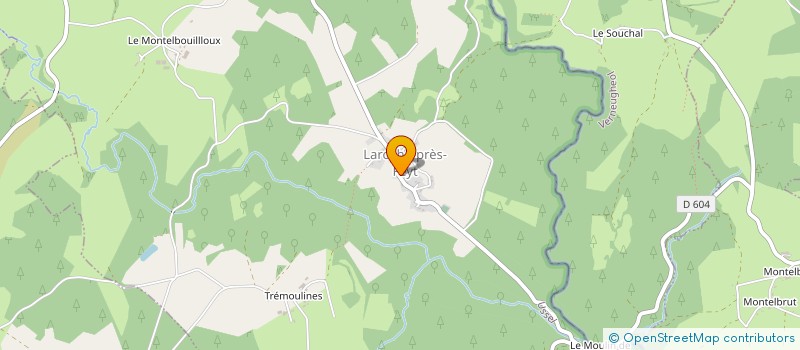 localisation de l'entreprise 333 688 653   BORT-LES-ORGUES