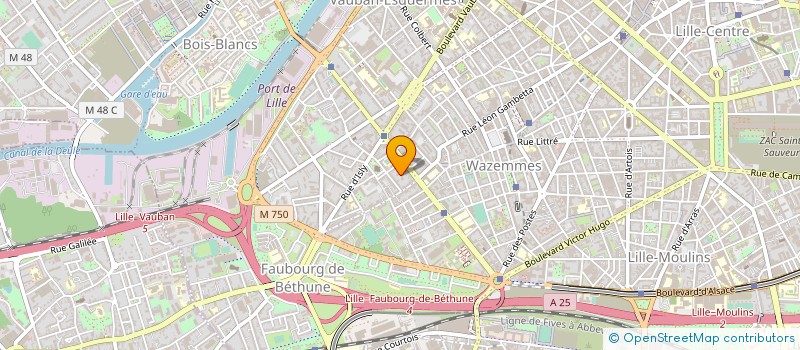 localisation de l'entreprise 335 253 423   PARIS