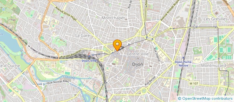 localisation de l'entreprise 338 204 928 à DIJON