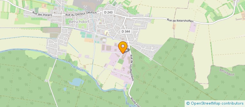 localisation de l'entreprise 339 106 221   BETSCHDORF