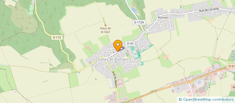 localisation de l'entreprise 35  COSNES-ET-ROMAIN