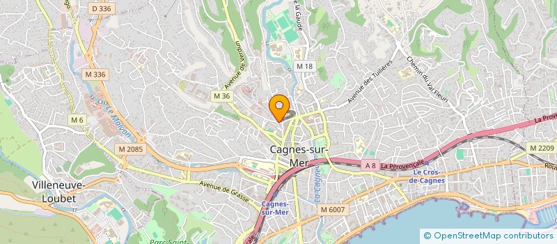 localisation de l'entreprise 377 508 163 à CAGNES SUR MER
