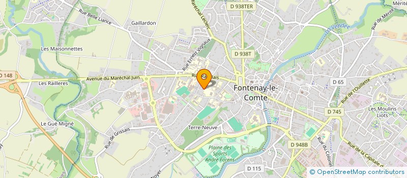 localisation de l'entreprise 38 FAMILY  FONTENAY-LE-COMTE