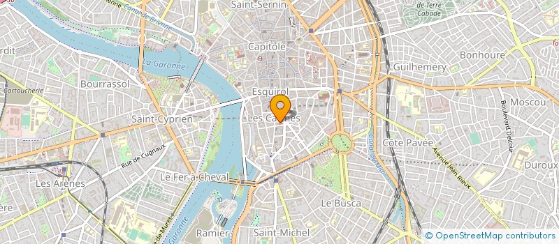 localisation de l'entreprise 383 290 301 à TOULOUSE