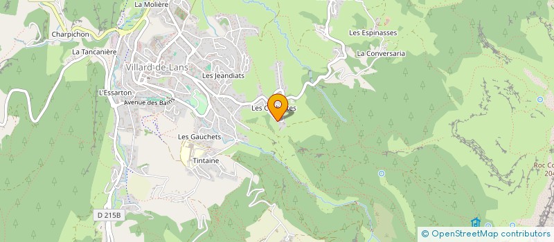 localisation de l'entreprise 389 CHEMIN DU COL VERT  VILLARD-DE-LANS