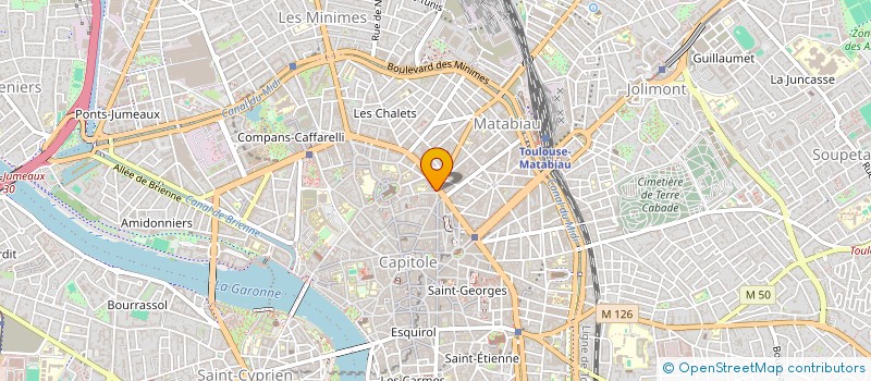localisation de l'entreprise 391 029 279 à TOULOUSE