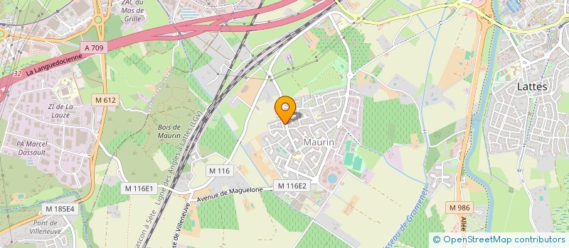 localisation de l'entreprise 391 143 369 à MONTPELLIER