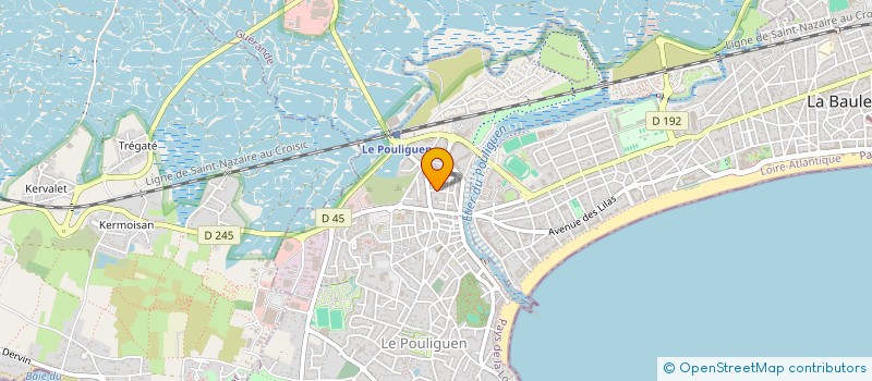 localisation de l'entreprise 391 438 793 à REZE