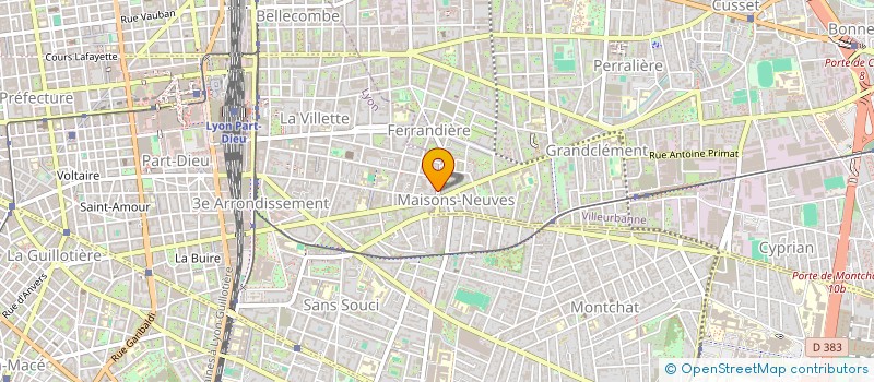 localisation de l'entreprise 392 706 966   LYON