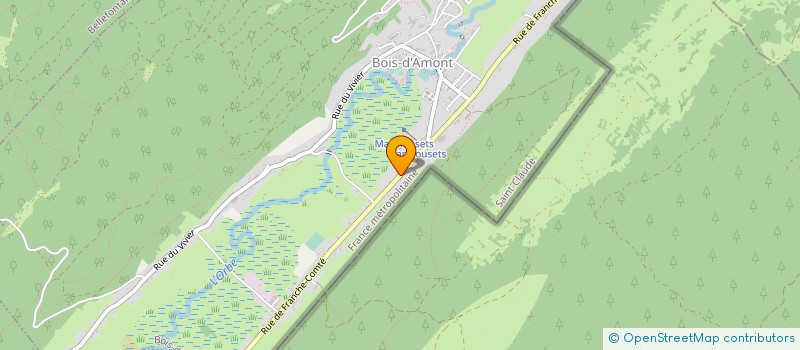 localisation de l'entreprise 393 698 485   SAINT-CLAUDE