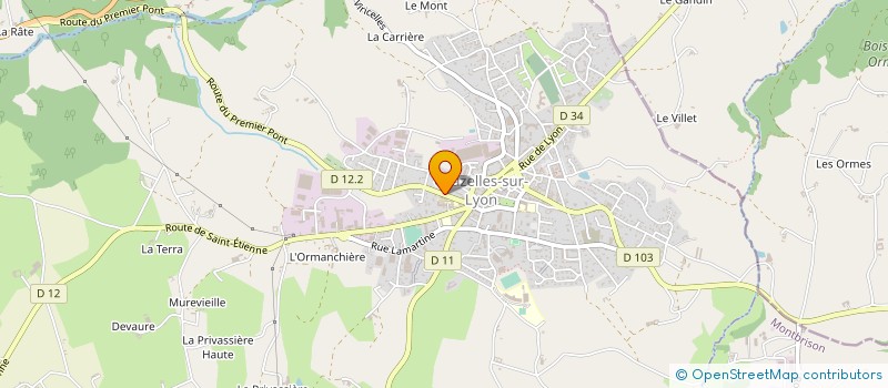 localisation de l'entreprise 394 055 388   CHAZELLES-SUR-LYON