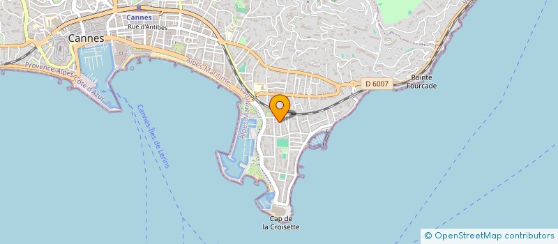 localisation de l'entreprise 395 297 484 à CANNES