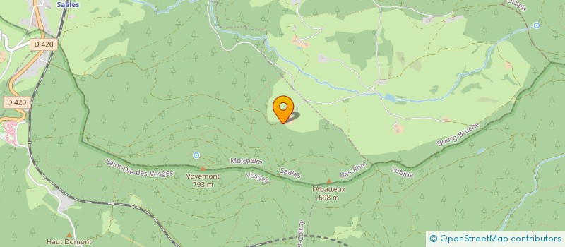 localisation de l'entreprise 397 520 529   BOURG-BRUCHE