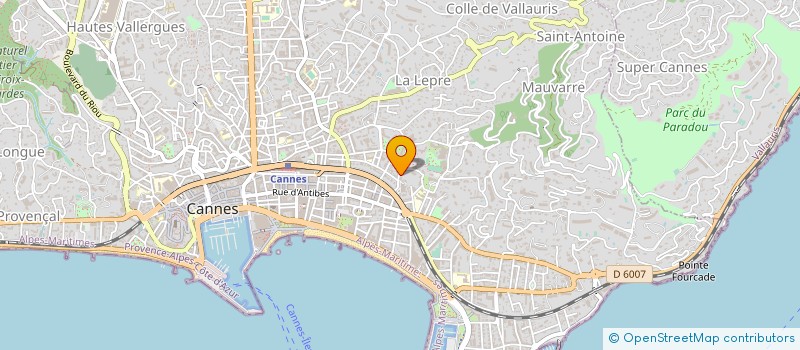 localisation de l'entreprise 397 989 096 à ANTIBES