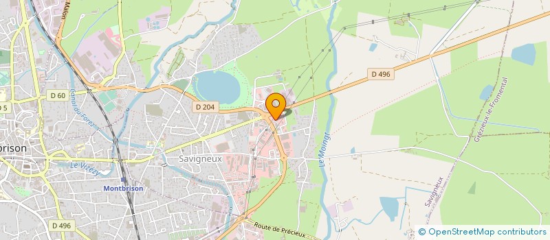 localisation de l'entreprise 3D FONDERIE à SAVIGNEUX