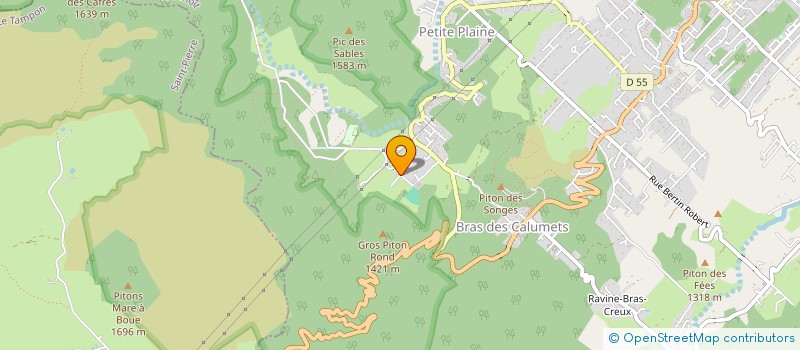 localisation de l'entreprise 401 402 227   LA PLAINE-DES-PALMISTES