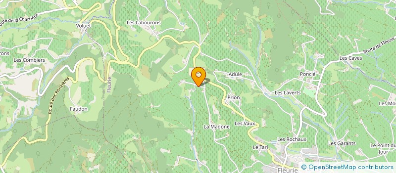 localisation de l'entreprise 408 380 186 à FLEURIE
