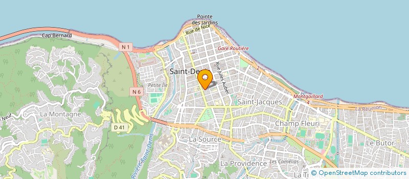 localisation de l'entreprise 409 205 556 à SAINT-DENIS