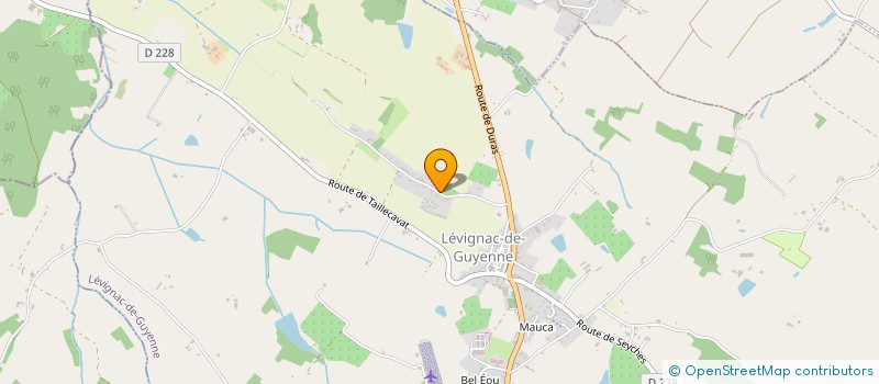 localisation de l'entreprise 411 230 089   LEVIGNAC-DE-GUYENNE