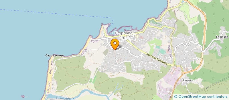 localisation de l'entreprise 411 267 750 à PETRETO-BICCHISANO