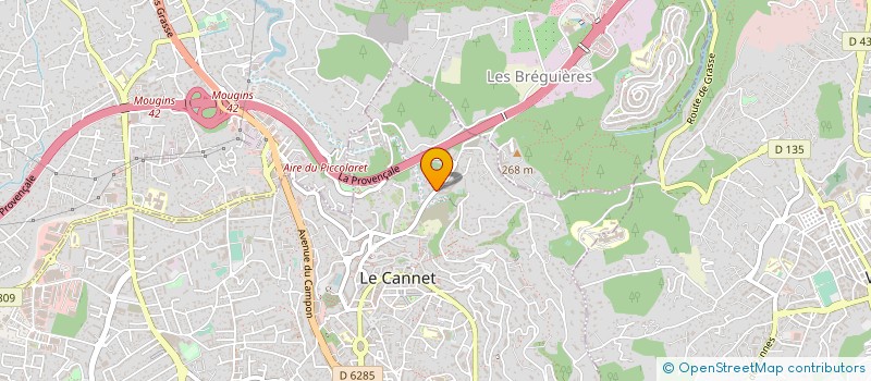 localisation de l'entreprise 411 274 491   LE CANNET