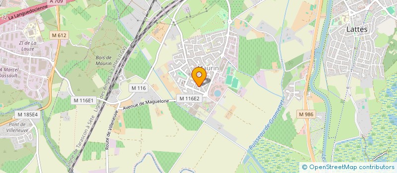 localisation de l'entreprise 412 235 764  à LATTES