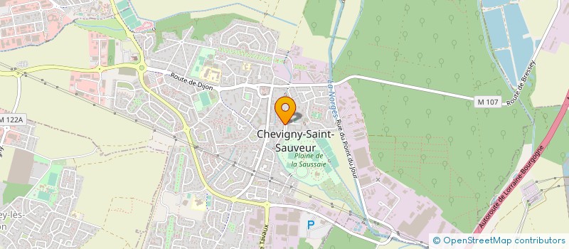 localisation de l'entreprise 418 467 346  à CHEVIGNY-SAINT-SAUVEUR