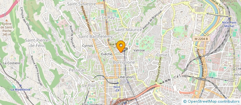 localisation de l'entreprise 420 420 705 à NICE
