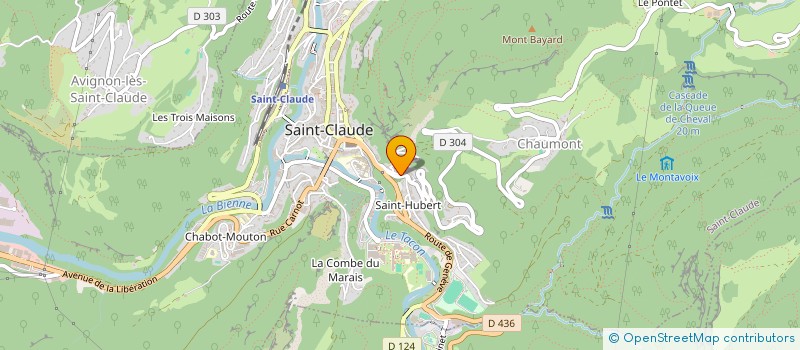 localisation de l'entreprise 420 871 014  à LYON
