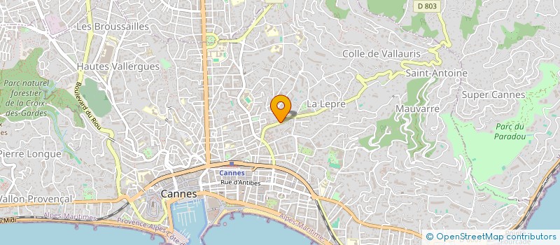 localisation de l'entreprise 422 514 299 à CANNES