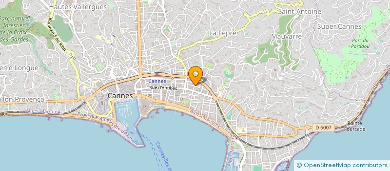 localisation de l'entreprise 423 138 874 à CANNES