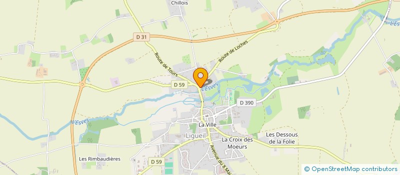 localisation de l'entreprise 423 696 533   LIGUEIL