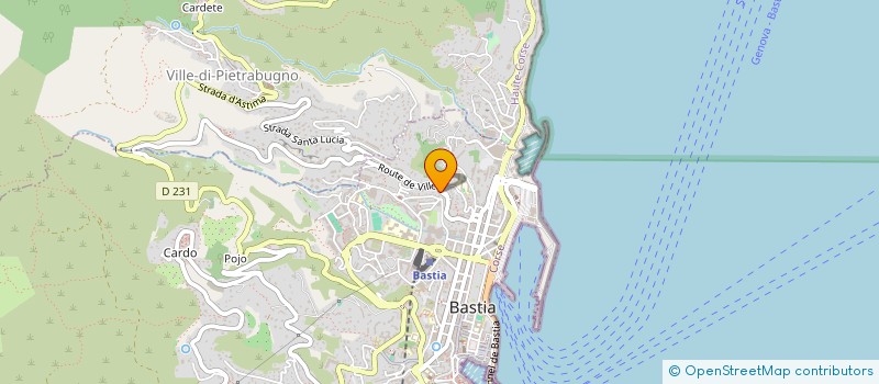 localisation de l'entreprise 432 835 619 à BASTIA