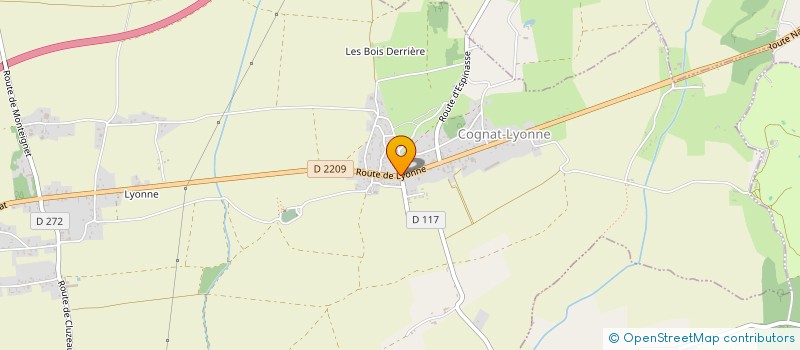 localisation de l'entreprise 441 021 953   COGNAT-LYONNE