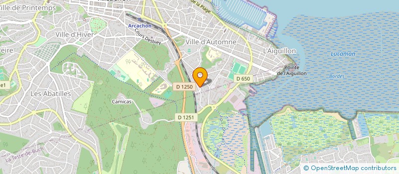 localisation de l'entreprise 441 767 928   ARCACHON