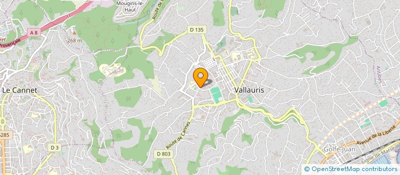 localisation de l'entreprise 441 836 889   VALLAURIS
