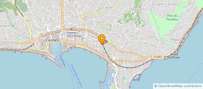 localisation de l'entreprise 441 877 800   CANNES