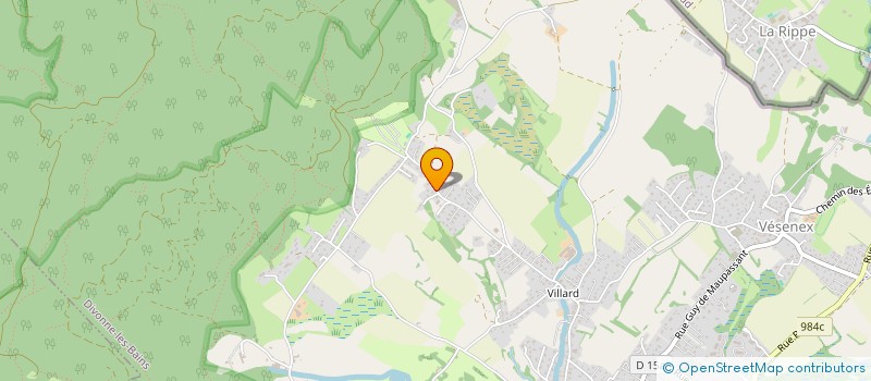 localisation de l'entreprise 442 407 284 à DIVONNE-LES-BAINS