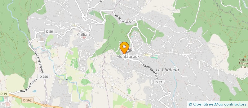 localisation de l'entreprise 445 167 653   MONTAUROUX