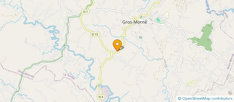 localisation de l'entreprise 448 065 524 à GROS-MORNE