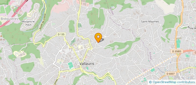 localisation de l'entreprise 449 592 682   VALLAURIS