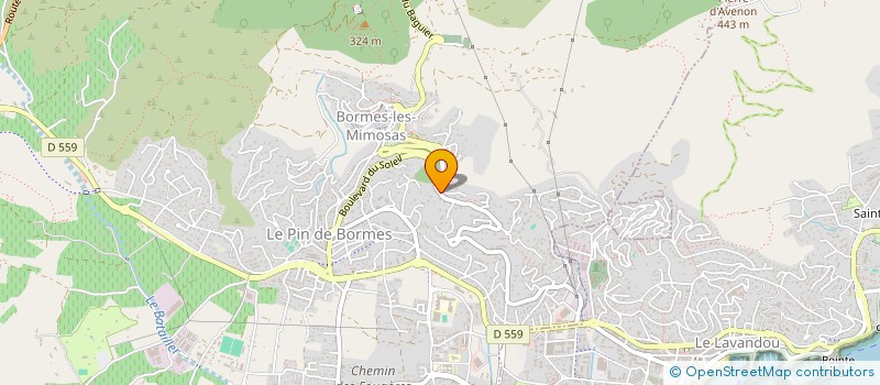 localisation de l'entreprise 450 115 050 à BORMES-LES-MIMOSAS