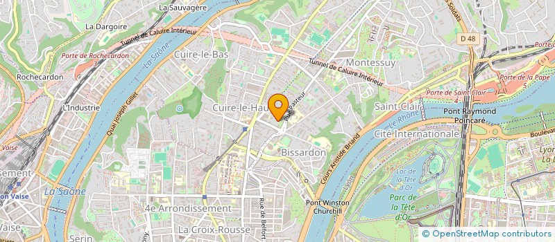 localisation de l'entreprise 450 263 009   CALUIRE-ET-CUIRE