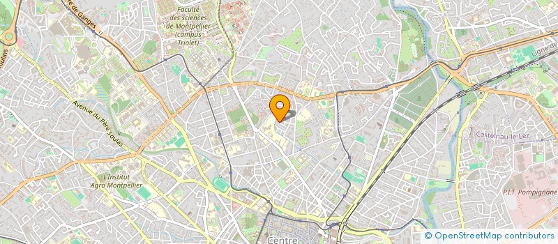 localisation de l'entreprise 450 333 737   METZ