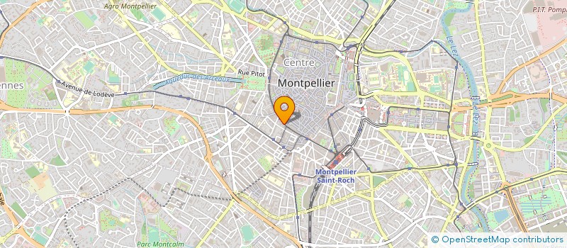localisation de l'entreprise 450 503 131   MONTPELLIER