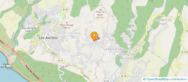 localisation de l'entreprise 450 676 606   LES AVIRONS