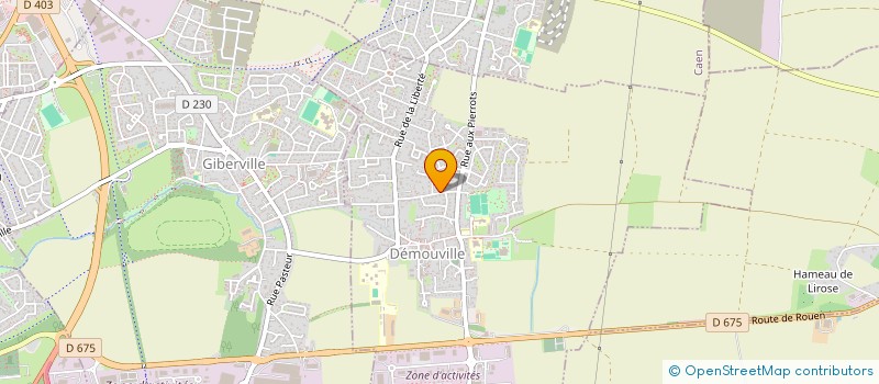 localisation de l'entreprise 451 161 947   DEMOUVILLE