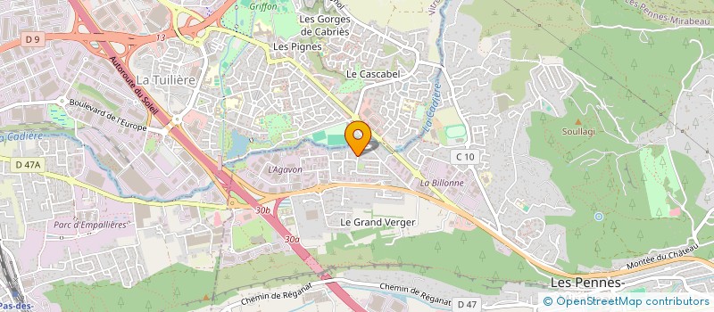 localisation de l'entreprise 451 290 043   ROQUEBRUNE-SUR-ARGENS