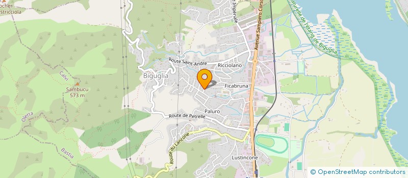 localisation de l'entreprise 452 805 724   BIGUGLIA