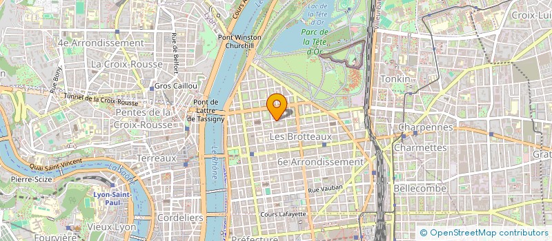 localisation de l'entreprise 46 RUE MONGOLFIER  LYON